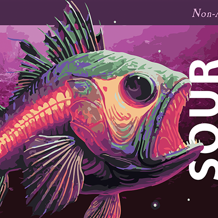 Full Portfolio Image